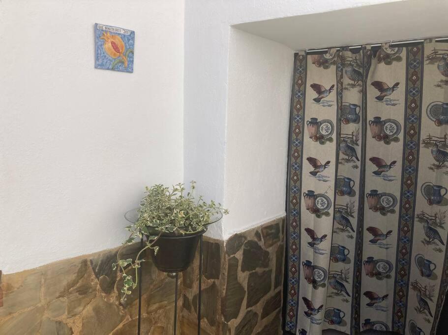 Villa Casa Cueva Rural Estacion De Guadix Extérieur photo